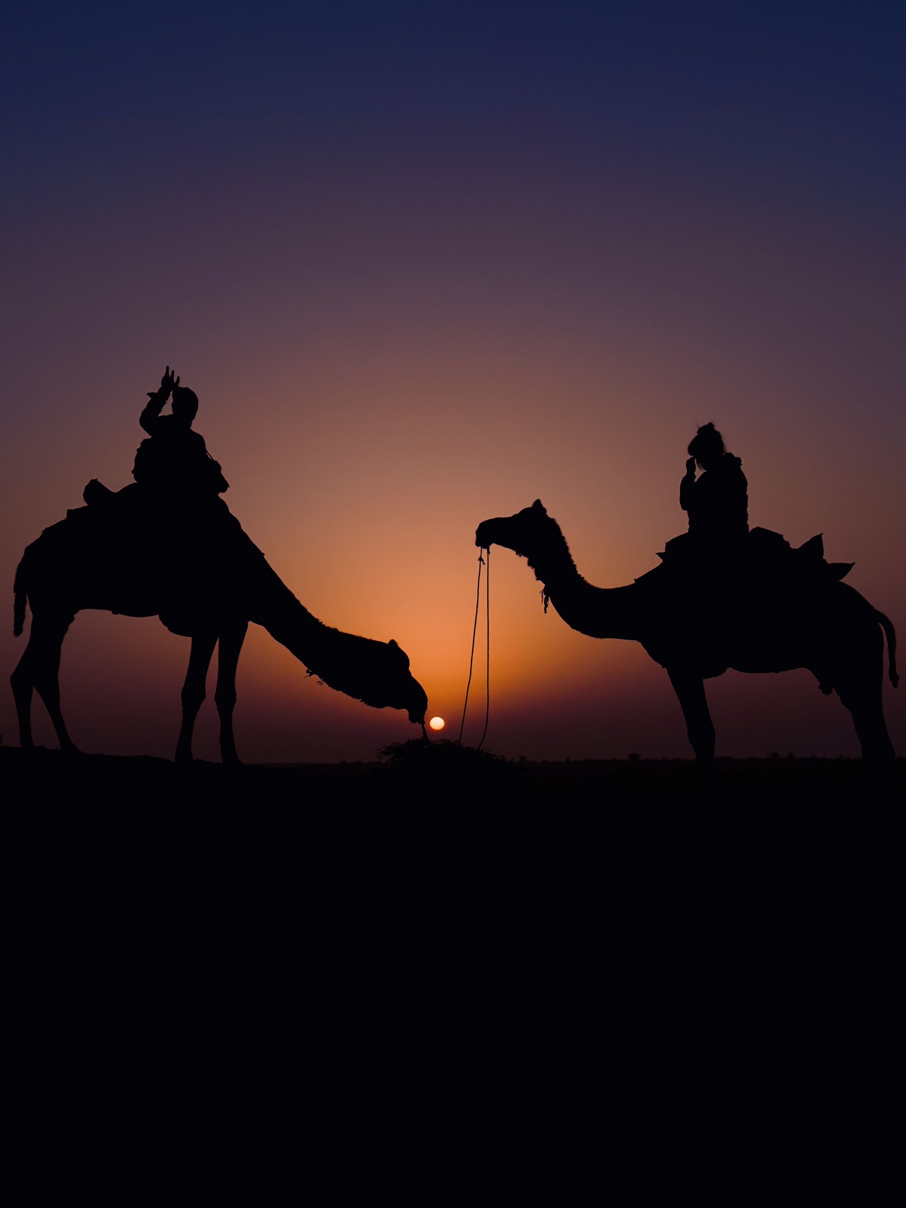 Camel Silhouette Nudges Glowing Orb At Sunset